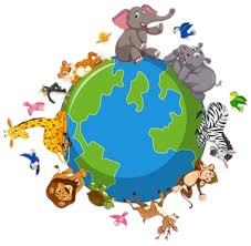 Apoya a los Rescatistas de Animales: ¡Tu generosidad marca la diferencia! 💖🐨🦉🐶